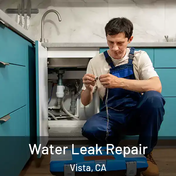  Water Leak Repair Vista, CA